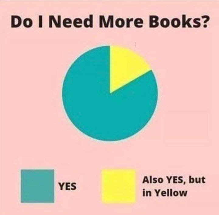 Pie Chart with two sections, one blue/green and the other yellow. Caption: Do I need more book? Yes, in blue. Also, yes, but in yellow.
